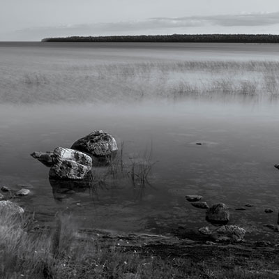 Bush Bay